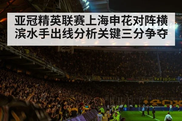 亚冠精英联赛上海申花对阵横滨水手出线分析关键三分争夺 | NG28